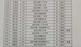 王排竞速最新爆料下载,揭秘速度与激情背后的秘密